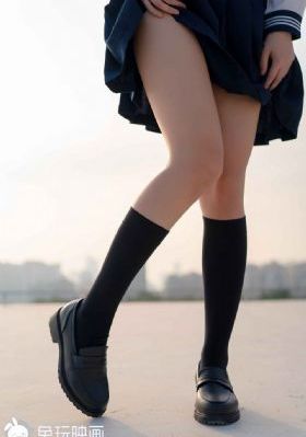 我女朋友的母亲3完整中字_DVD在线视频播放