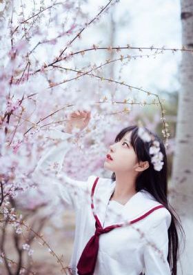 铁核桃 电视剧_DVD电视剧在线观看
